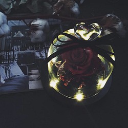 麋花Amor Floral- 永生玫瑰玻璃花罩(有燈款)/聖誕節 生日  不凋花 第1張的照片