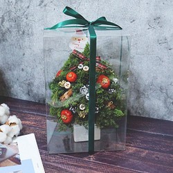 麋花Amor Floral-Merry Christmas 南瓜聖誕樹/耶誕禮物/交換禮物 第1張的照片