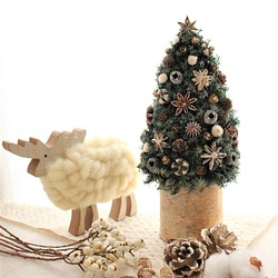 白樺のクリスマスツリー＊パウダースノー 1枚目の画像