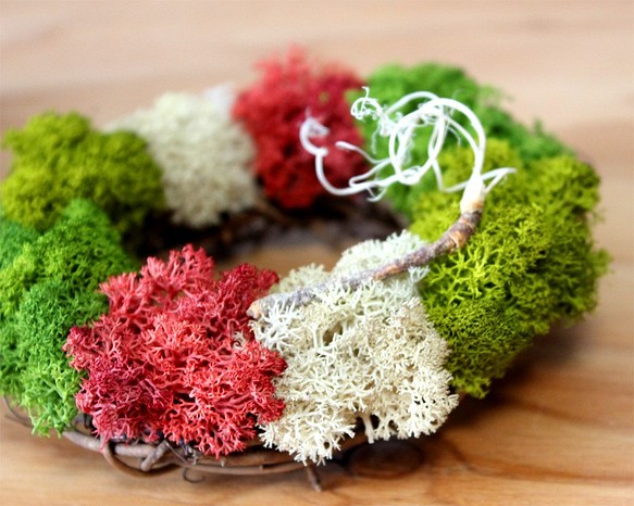 mini wreath (moss/red) 1枚目の画像