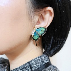 Miss Paranoid 偏執狂小姐 蝴蝶系列 藍綠色燕尾蝶 樹脂耳環 單邊販售  925銀/鋼針 第1張的照片