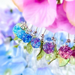 《特集掲載》カラフル紫陽花キャンディ ピアス(イヤリング) 金属アレルギー対応 梅雨 初夏 あじさい 透明感