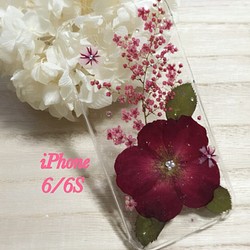 鮮豔的紅玫瑰*開滿鮮花iphone6/6S case㉖ 第1張的照片