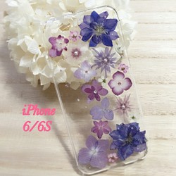 紫色繡球花*滿花朵的iPhone6 / 6S手機殼㉕ 第1張的照片