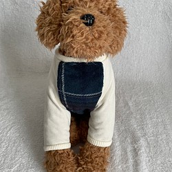 犬服‼︎フリースボア　チェック柄袖あり　グリーンXS.S.M.DXS.DS.DM 1枚目の画像