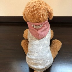 犬服‼︎Sサイズ グレー星柄 ピンク 1枚目の画像