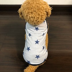 犬服！クールTシャツ グレー☆XS.S.M.DXS.DS.DM 1枚目の画像