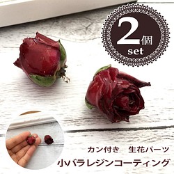 【2個】25mm ボルドー バラ 生花 レジンコーティングパーツ カン付き シルバー 1枚目の画像