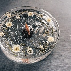 乾花植物透明蠟燭 / 光透透 第1張的照片