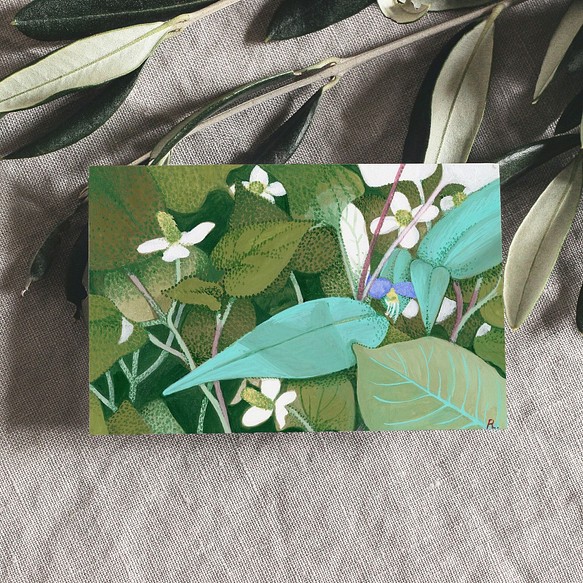 【3枚選べるポストカード・送料無料】お花のポストカード　ツユクサ　ドクダミ　絵のある暮らし　植物　アート 1枚目の画像