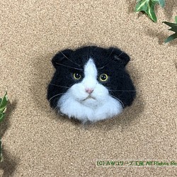羊毛フェルトの猫ブローチ（スコティッシュ・フォールド：ハチワレ） 1枚目の画像