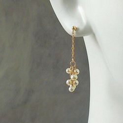 淡水真珠の耳飾り 1枚目の画像