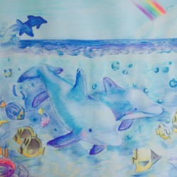 イルカのタルタル☆虹の向こうへ【ポストカード】 1枚目の画像