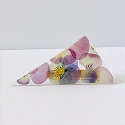 本物のお花 すみれ(ビオラ)のヘアクリップ / Hairclip of a violet / [d] 1枚目の画像
