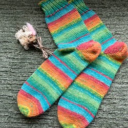 手編みの靴下　南国の鳥 1枚目の画像
