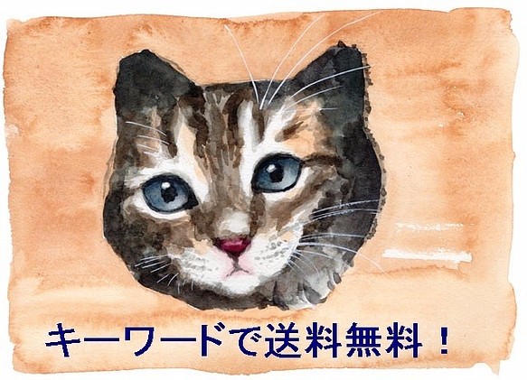 送料無料 猫のポストカード５枚組 ６ 子猫のしじみさん カード レター 山田理矢 通販 Creema クリーマ ハンドメイド 手作り クラフト作品の販売サイト