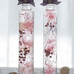 【花草標本】少女嫩粉/台灣玻璃瓶(200ml) 療癒系浮游花 日本最新流行 第1張的照片