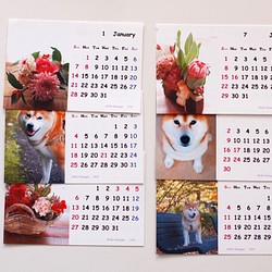 2018年日曆（Ohana＆Shiba Inu） 第1張的照片