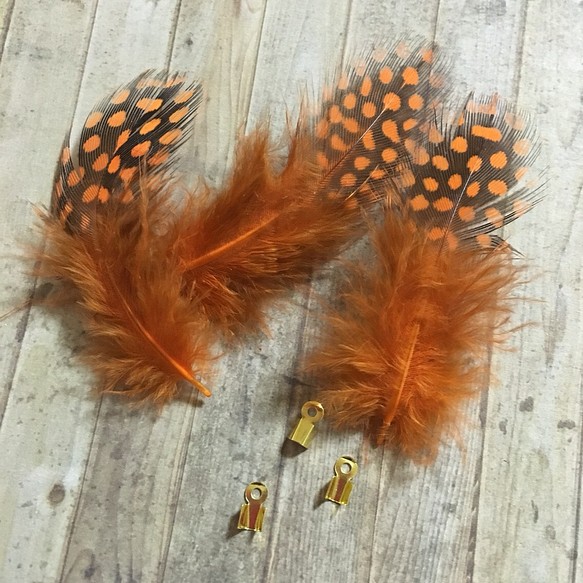 ホロホロ鳥 羽 オレンジ 10枚セット 3-5cm 金具付き 1枚目の画像
