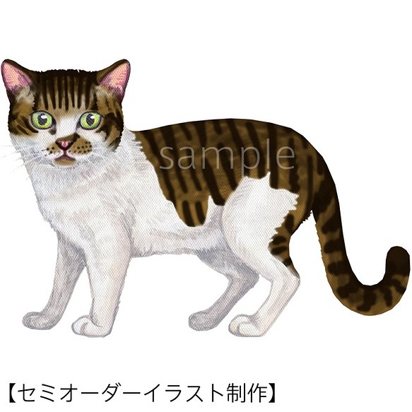 セミオーダー イラスト制作 猫 全身 I Fp Cat L イラスト オガワユミエ 通販 Creema クリーマ ハンドメイド 手作り クラフト作品の販売サイト