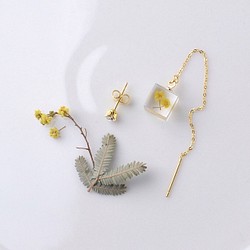 [10月誕生石色蛋白石]施華洛世奇和含羞草的美國穿孔（禮品包裝，生日禮物） 第1張的照片