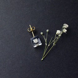 Kasumi 草 Kasumi 草耳釘為一隻耳朵禮物生日禮物禮物包裝結婚電話 第1張的照片