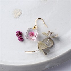粉色虎杖鉤耳環一隻耳朵 14kgf 黃金禮物生日禮物禮物包裝婚禮 第1張的照片