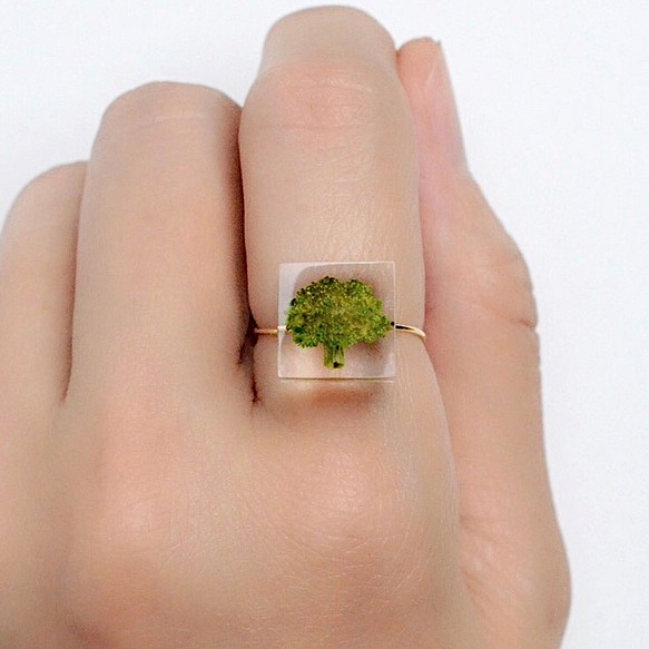 戒指西蘭花線圈戒指免費尺寸禮物生日禮物禮物包裝婚禮稱為 第1張的照片