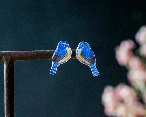 幸せの青い鳥 ぷくぷく ペア 手乗り小鳥 ルリビタキ オス チタン