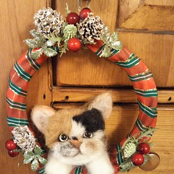 クリスマスリース三毛猫 1枚目の画像