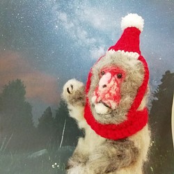 サンタクロースなお猿さん 羊毛フェルト 【リアルアニマルシリーズ】k00587 1枚目の画像