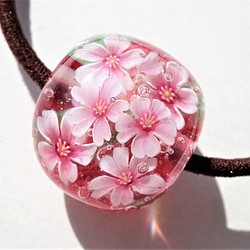 “櫻花”頭髮玻璃蜻蜓球花春天的櫻花 第1張的照片