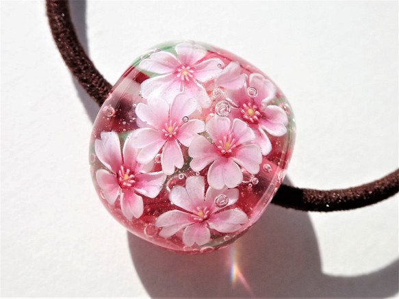 “櫻花”頭髮玻璃蜻蜓球花春天的櫻花 第1張的照片