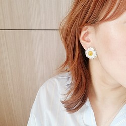 【再販予定あり】まんまるノースポール　pierce/earring 1枚目の画像