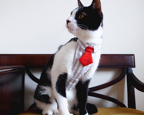 猫用ハーネス（4サイズ・リードつき）シャツ＆ネクタイ グレー ペット