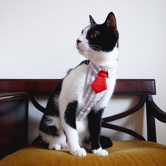 猫用ハーネス（4サイズ・リードつき）シャツ＆ネクタイ　グレー 1枚目の画像