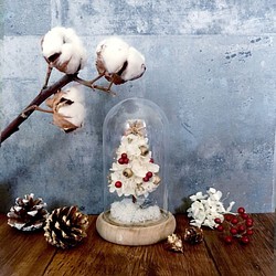 |不下雪的國度| 聖誕樹。玻璃花盅。交換禮物 第1張的照片