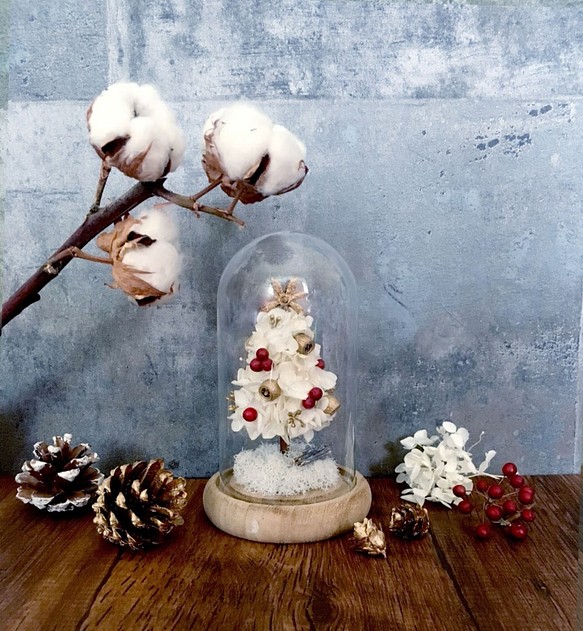|不下雪的國度| 聖誕樹。玻璃花盅。交換禮物 第1張的照片