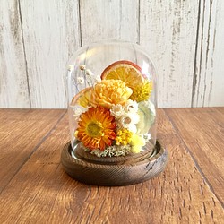 |夏橙| 乾燥花。擴香花。玻璃盅。禮物 第1張的照片