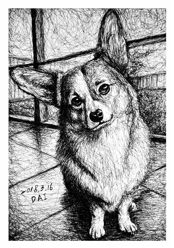 原子筆亂線繪製動物畫像_柯基犬 第1張的照片