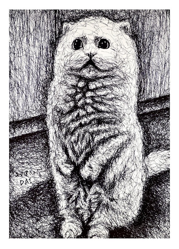 原子筆亂線繪製動物畫像_貓 第1張的照片