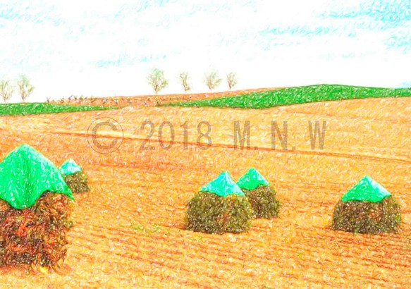 農村風景画 (田園) 色鉛筆画風 CG画 A4サイズ 送料無料 1枚目の画像