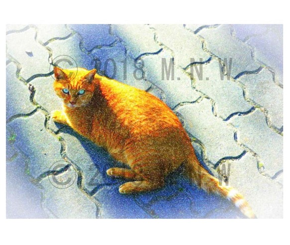 猫 (ネコ) 2 色鉛筆画風 CG画 A4サイズ 送料無料 1枚目の画像