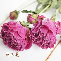【花久遠】シャクヤク（濃ピンク）花カフェオリジナルフラワー 1枚目の画像