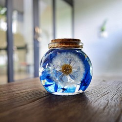 夢天涯 蒲公英浮游玻璃花球 第1張的照片