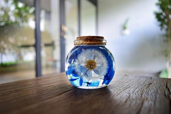 夢天涯 蒲公英浮游玻璃花球 第1張的照片