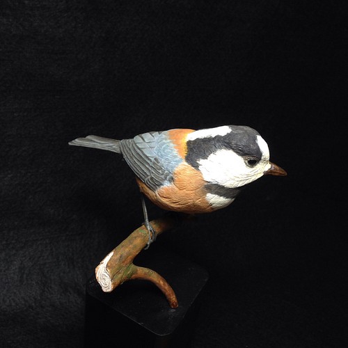 バードカービング 野鳥彫刻 コガラ - rehda.com