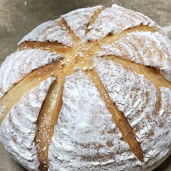 有機スペルト小麦(古代小麦）１００％の贅沢な大きなパン 1枚目の画像