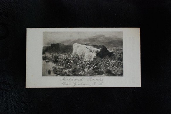 *アンティーク イギリスのカード　ムーアの風景. 1枚目の画像