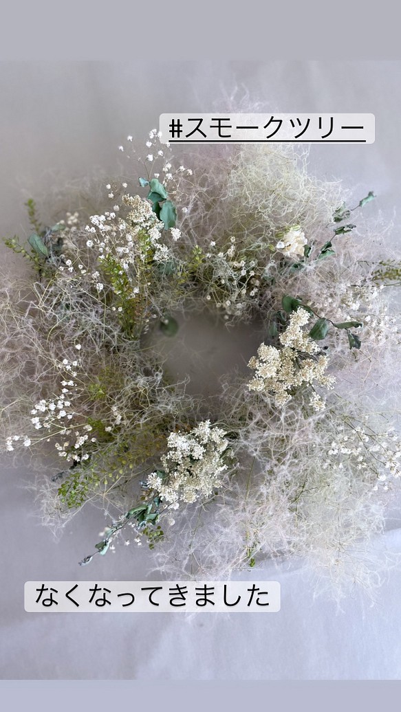 Flower Wreath Smoke Tree かすみ草 ドライフラワー スモークツリー フライングリース フラワー リース Maya 通販 Creema クリーマ ハンドメイド 手作り クラフト作品の販売サイト